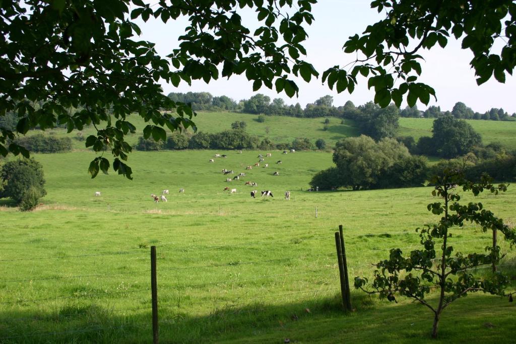 B&B Aux Beaux Buis Blegny Buitenkant foto